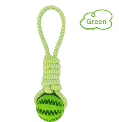 Paw™ Tug war chew toy with Rubber Rope