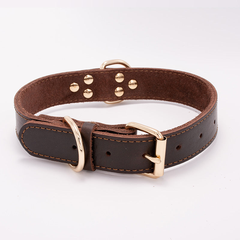 Paw™ leather Dog Collar