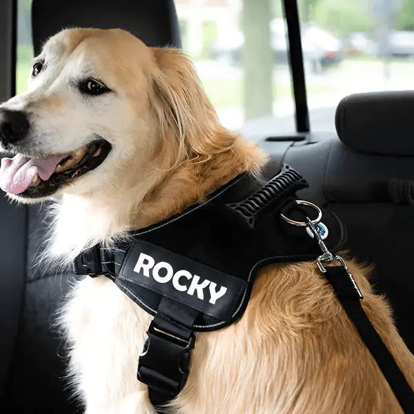 Adjustable Dog Safety Seat Belt - Pawzzey
