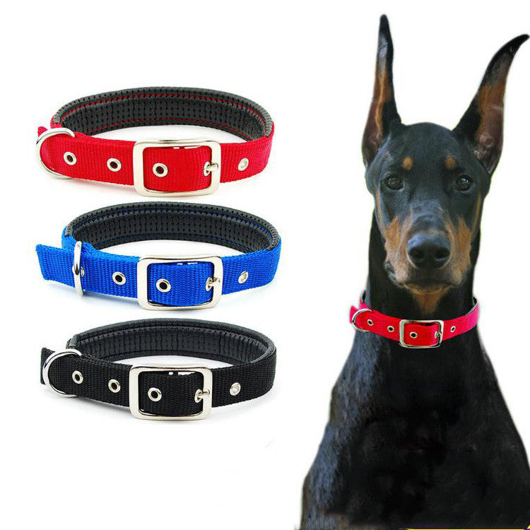 Paw™ Security Dog Collars