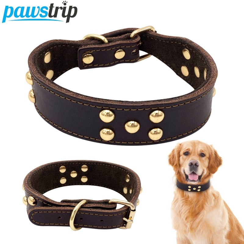 Paw™ leather Dog Collar