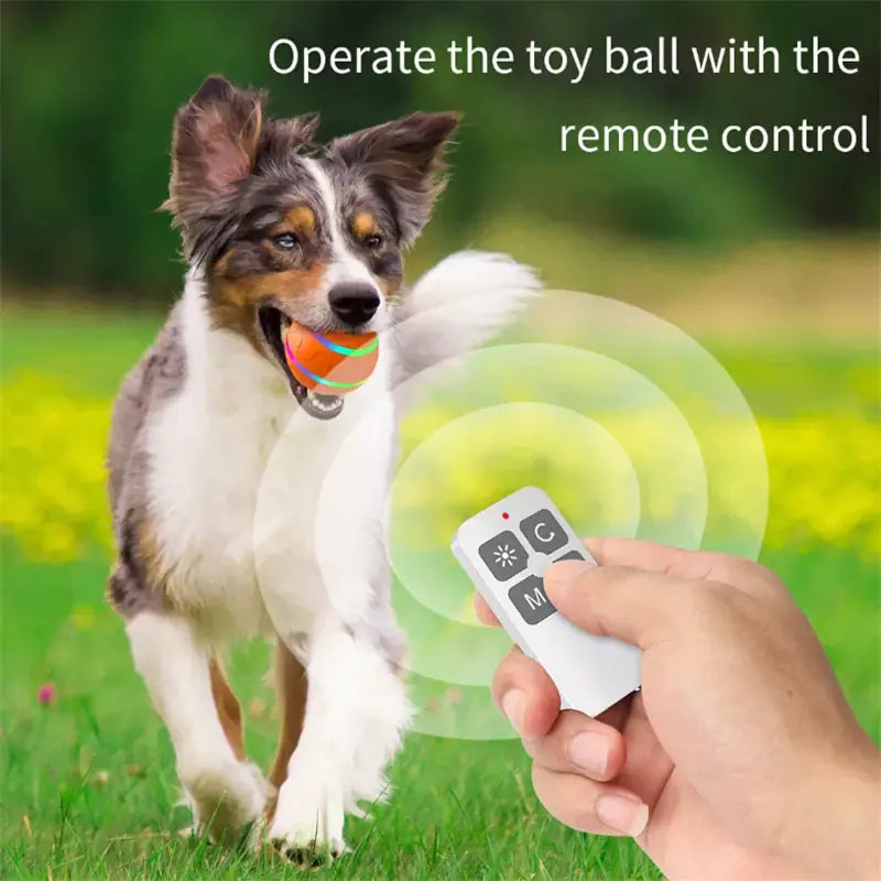 Smart LED Flashing Dog Toy Ball - Pawzzey