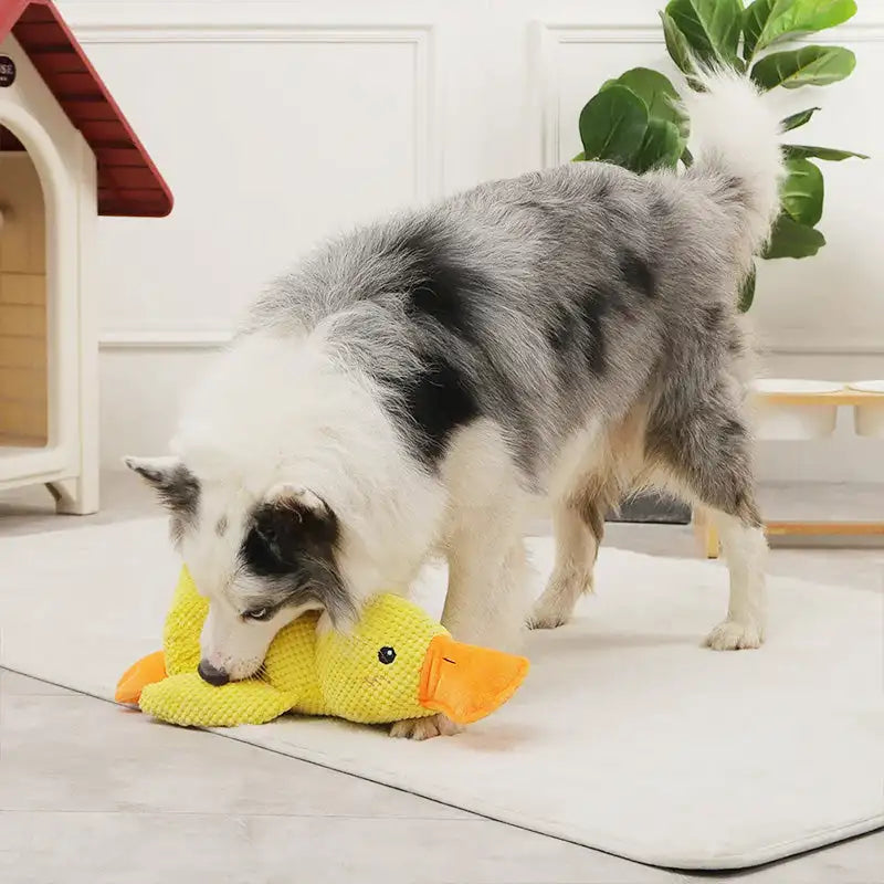 Durable Plush Chew Toy - Pawzzey