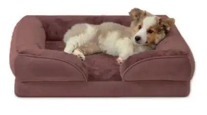 Orthopedic Dog Bed - Pawzzey