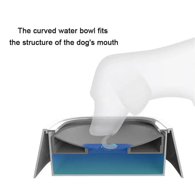 No-Spill Pet Water Bowl - Pawzzey