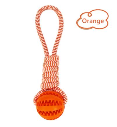 Paw™ Tug war chew toy with Rubber Rope