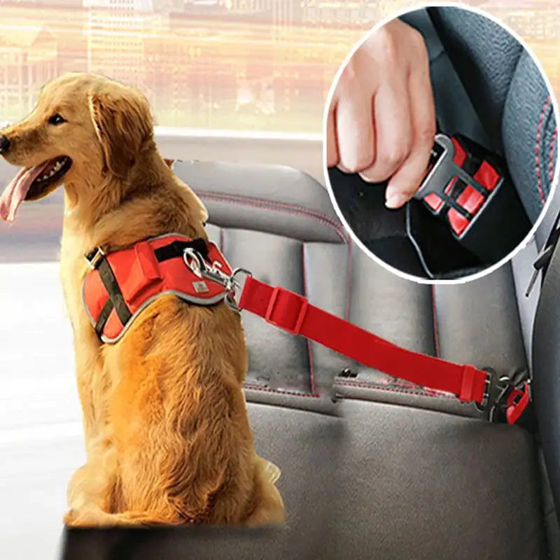 Adjustable Dog Safety Seat Belt - Pawzzey