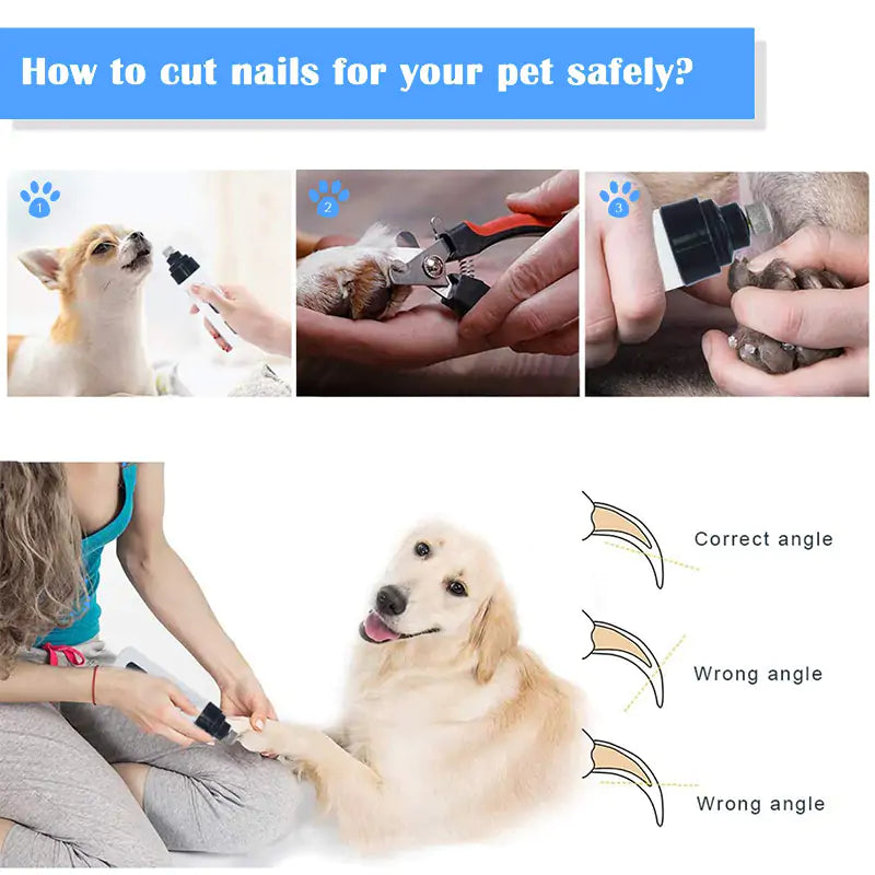 Electric Dog Nail Trimmer - Pawzzey