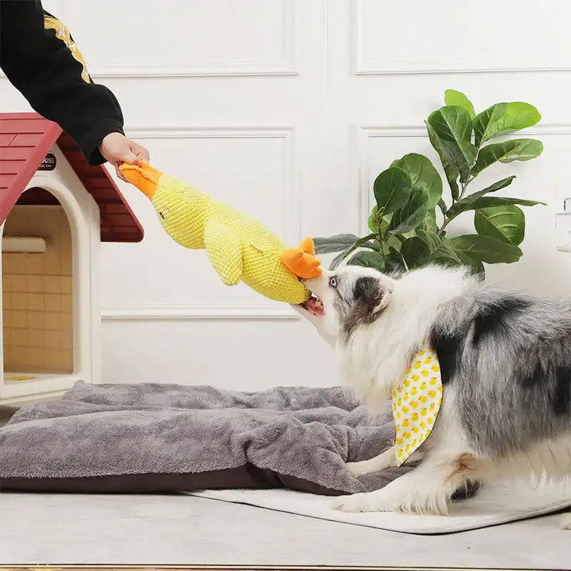Durable Plush Chew Toy - Pawzzey